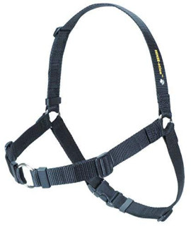 SENSE-ation No-Pull Dog Harness - 3/4 Wide Medium/Large