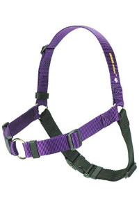 Softouch Sense-ation No-Pull Dog Harness - 1 Medium/Large