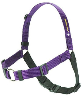 Softouch Sense-ation No-Pull Dog Harness - 1 Medium/Large