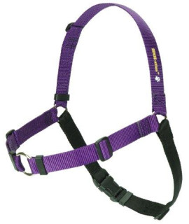 SENSE-ation No-Pull Dog Harness (Purple Large Wide) by Sense-Ation Harness