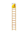 Prevue Pet Products Birdie Basics Wood Ladder 11 Step