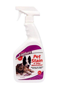 Capture Pet Stain & Odor Neutralizer - Pet Stain Remover for Carpet, Wood, Leather, Rug, Bed, Couch, Car, Upholstery, Clothes, Curtains, Wall, Floor, Concrete - 32oz Portable Spray Bottle