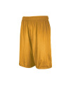 Russell Athletic Big Boys Youth Mesh Short, gold, Small