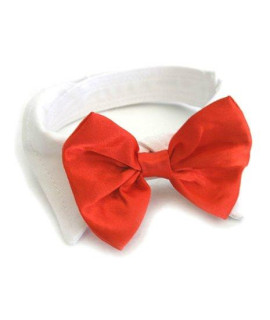 Satin Dog Bow Tie and Collar - Red (L) by Doggie Design