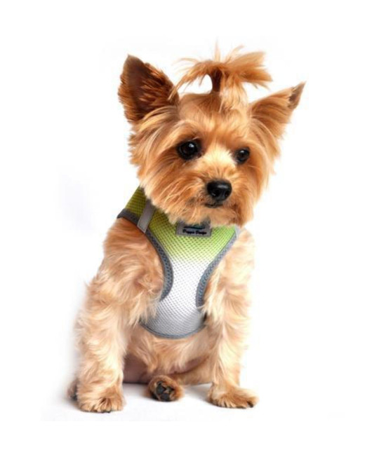 American River Dog Harness Ombre Collection - Limestone Gray XL