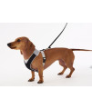 Doggles V Mesh Dog Harness, Gray/Black, Small