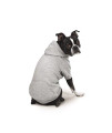 Zack & Zoey Basic Hoodie for Dogs, 20 Large, Heather Gray