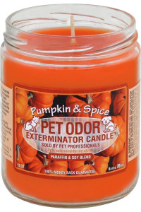 Specialty PET Products Pet Odor Exterminator candle Pumpkin Spice