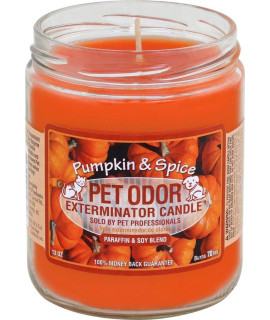 Specialty PET Products Pet Odor Exterminator candle Pumpkin Spice