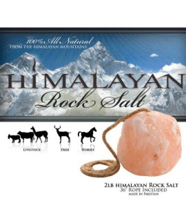 Himalayan Rock Salt Lick On A Rope for Horses