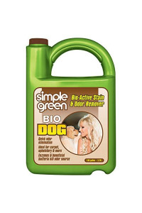 Simple Green Bio Active Stain & Odor Remover for Pet & Carpet- Pet & People Safe (1 Gal)