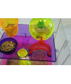 YML Clear Plastic Dwarf Hamster Mice Cage with Color Accessories, Pink