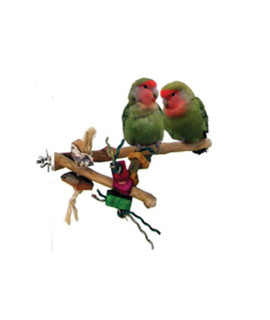 A&E cage company 001090 Java Wood Branch Bird Toy Assorted, Small