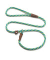Mendota Pet Slip Leash - Dog Lead and collar combo - Made in The USA - Seafoam, 38 in x 4 ft - for SmallMedium Breeds