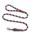 Mendota Pet Snap Leash - British-Style Braided Dog Lead, Made in The USA - Pride, 38 in x 4 ft - for SmallMedium Breeds