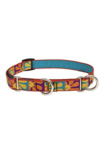 LupinePet Originals 3/4 Crazy Daisy 14-20 Martingale Collar for Medium and Larger Dogs