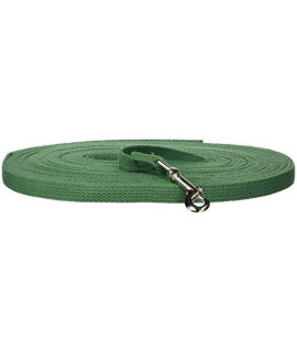 OmniPet Leather Brothers 50-Feet Web Training Lead Small green
