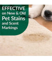 Bio Active Stain & Odor Remover for Pet & Carpet- Pet & People Safe - 32oz Spray