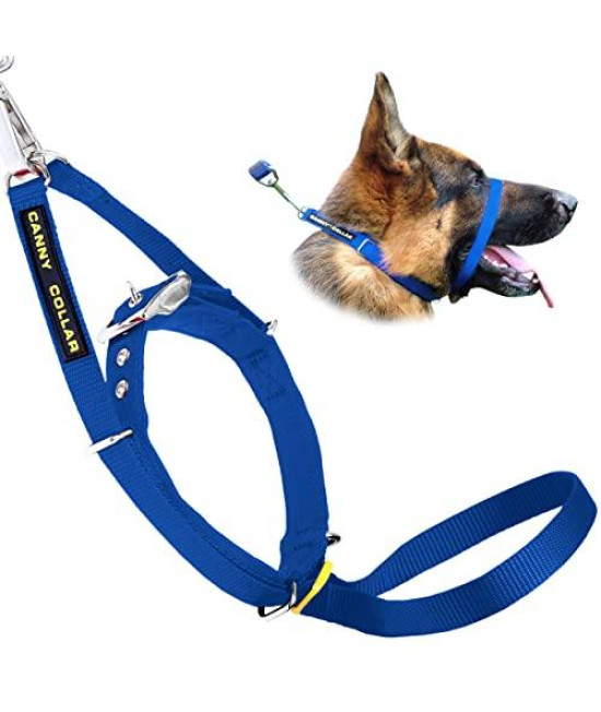 Canny Collar Dog Head Collar, No Pull Leash Training Head Harness, Easy To Fit Halter That Stops Pulling, Comfortable & Calm Control With Padded Collar, Kind To Your Dog, Enjoy Gentle Walks With Small, Medium Or Large Dogs, Black, Blue, Purple & Red