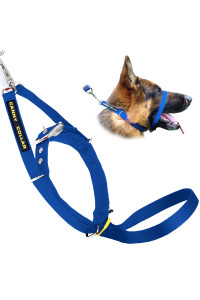 Canny Collar Dog Head Collar, No Pull Leash Training Head Harness, Easy To Fit Halter That Stops Pulling, Comfortable Calm Control With Padded Collar, Kind To Your Dog, Enjoy Gentle Walks With Small, Medium Or Large Dogs, Black, Blue, Purple Red