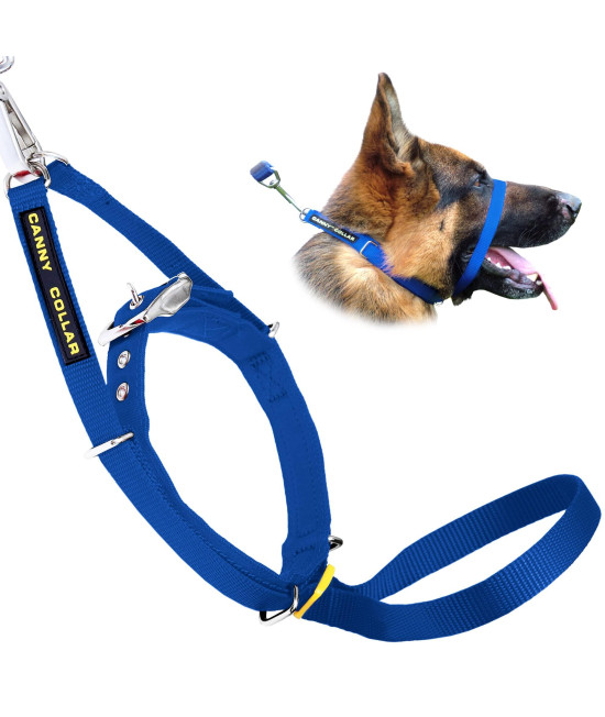 Canny Collar Dog Head Collar, No Pull Leash Training Head Harness, Easy To Fit Halter That Stops Pulling, Comfortable Calm Control With Padded Collar, Kind To Your Dog, Enjoy Gentle Walks With Small, Medium Or Large Dogs, Black, Blue, Purple Red