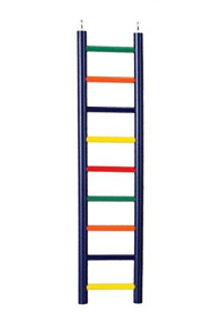 Prevue Pet Products BPV01137 Carpenter Creations Hardwood Bird Ladder with 9 Rungs, 18-Inch, Colors Vary