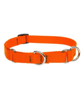 LupinePet Basics 3/4 Blaze Orange 14-20 Martingale Collar for Medium and Larger Dogs