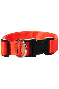 LupinePet Basics 1 Blaze Orange 16-28 Adjustable collar for Large Dogs