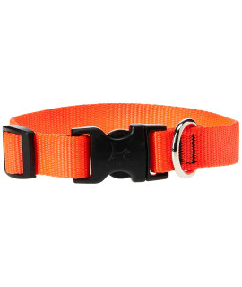 LupinePet Basics 34 Blaze Orange 13-22 Adjustable collar for Medium and Larger Dogs