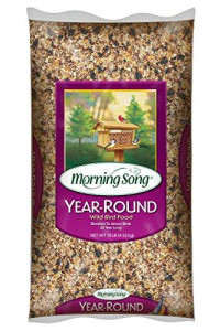 Morning Song 11965 Year-Round Wild Bird Food, 10-Pound