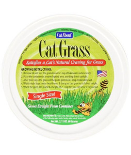 Cat-About By Miraclecorp Gimborn Single Cat Grass Plus, 60-Gram