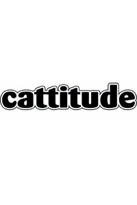 Imagine This Cattitude Car Magnet, 7-Inch by 2-Inch