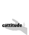 Imagine This Cattitude Car Magnet, 7-Inch by 2-Inch