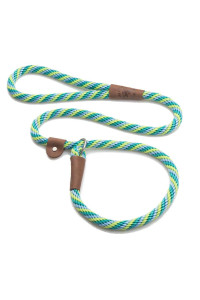 Mendota Pet Slip Leash - Dog Lead and collar combo - Made in The USA - Seafoam, 12 in x 6 ft - for Large Breeds