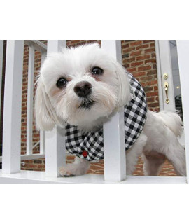 Puppy Bumpers Black and White Check up to 10 - Keep Dogs on Safe Side of The Fence - Made in USA - Fence Collar