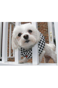Puppy Bumpers Black and White Check 10 to 13