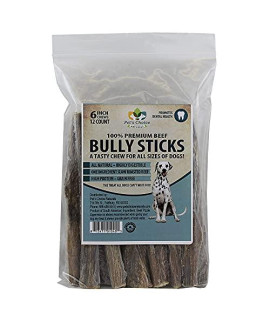 Bully Pizzle, 6 Inch 12 Pk