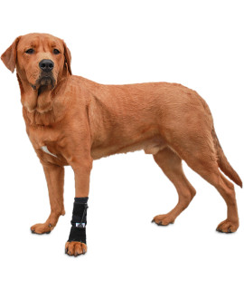Front No-Knuckling Training Sock Helps Dogs Pick up Their Feet When Knuckling Under or Dragging Their Front Paws