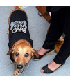 Parisian Pet Dog Cat Clothes Tee Shirts Embroidered T-Shirt Bad to da Bone, M