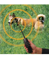 High Tech Pet Extra Collar RTC-1 for Express Train Remote Radio Dog Training System