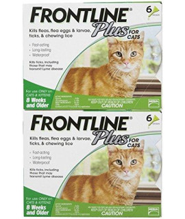 Frontline Plus for cats 12 Month