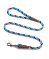 Mendota Pet Snap Leash - British-Style Braided Dog Lead, Made in The USA - Starbright, 38 in x 6 ft - for SmallMedium Breeds