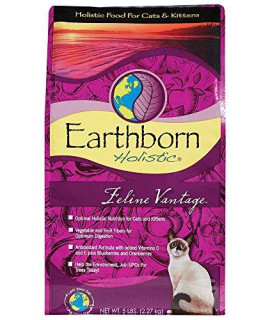 Earthborn Holistic Feline Vantage Grain Dry Cat Food