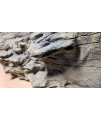 Universal Rocks 48-Inch by 20-Inch Ledge Flexible Aquarium Background