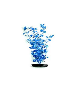 Marina Pearlscaper Cardamine Plant, 8-Inch, Blue