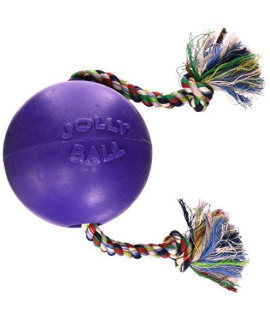 Jolly Pets Romp and Roll Ball, Purple (6 in.)