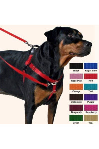 2 Hounds Design Freedom No Pull Dog Harness | Adjustable Gentle Comfortable Control for Easy Dog Walking |for Small Medium and Large Dogs | Made in USA | Leash Included | 1" LG Rose