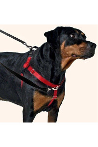 2 Hounds Design Freedom No-Pull Dog Harness with Leash, Medium, 1-Inch Wide, Raspberry