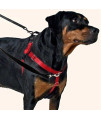 2 Hounds Design Freedom No-Pull Dog Harness with Leash, Medium, 1-Inch Wide, Raspberry