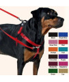 2 Hounds Design 859131002472 No-Pull Dog Harness with LeashX-Small 5/8 Inch Wide XSRaspberry